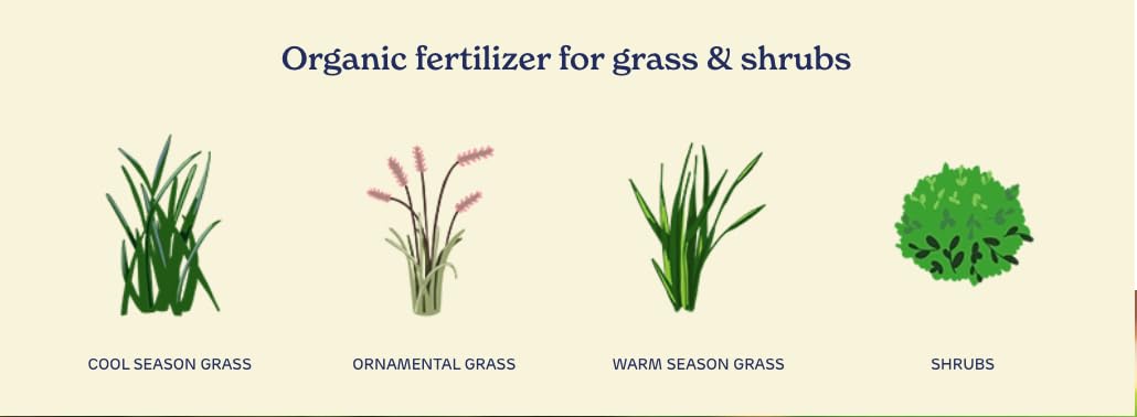 Organic Liquid Lawn Fertilizer with 1% Iron 32 fl. oz. K40105