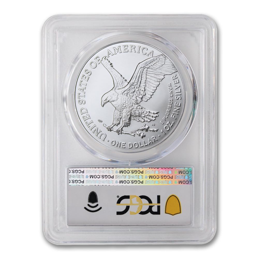 1 oz American Silver Eagle Coin MS-70 E88684