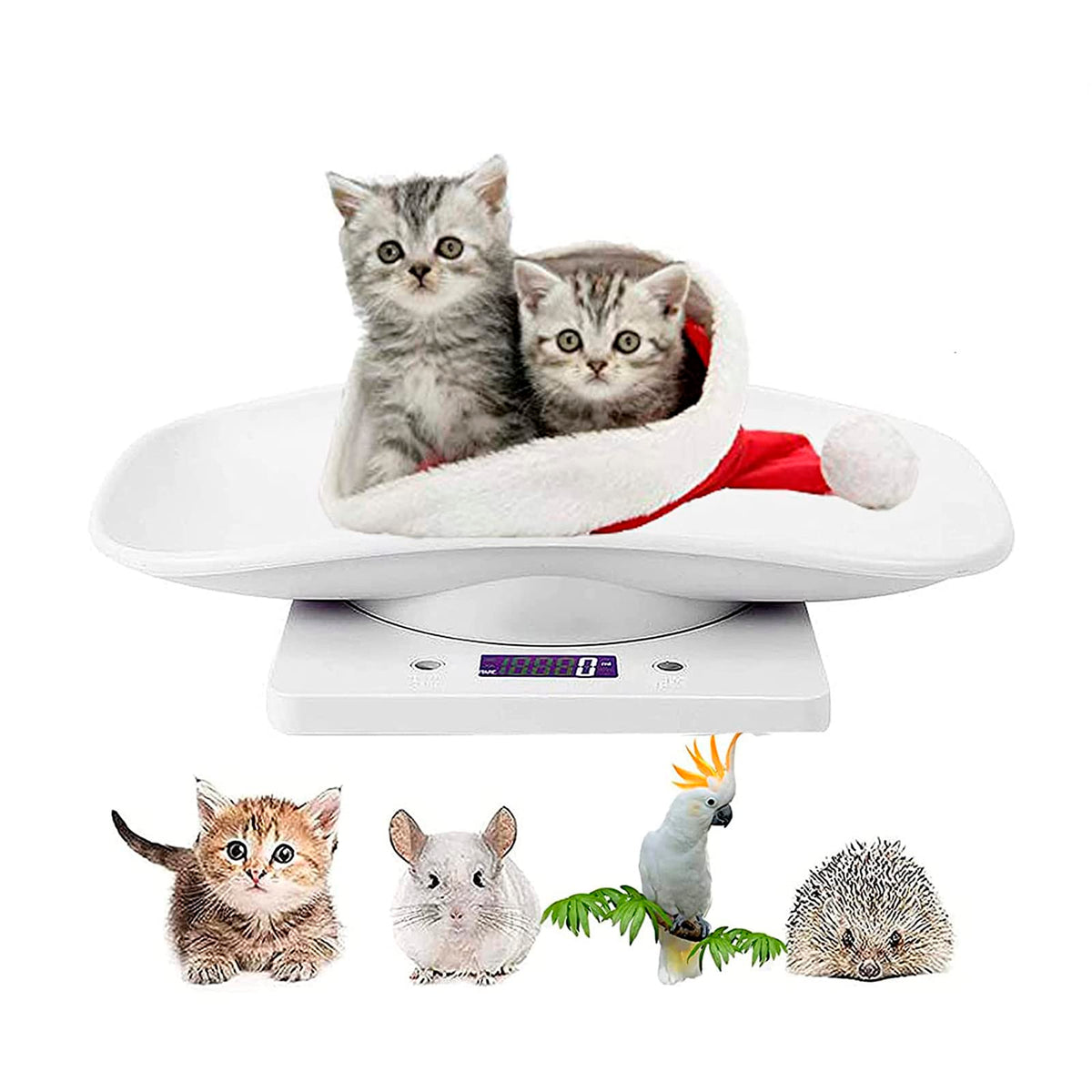 Newborn Kitten & Puppy Weight Scale White 12in x 8in G582835