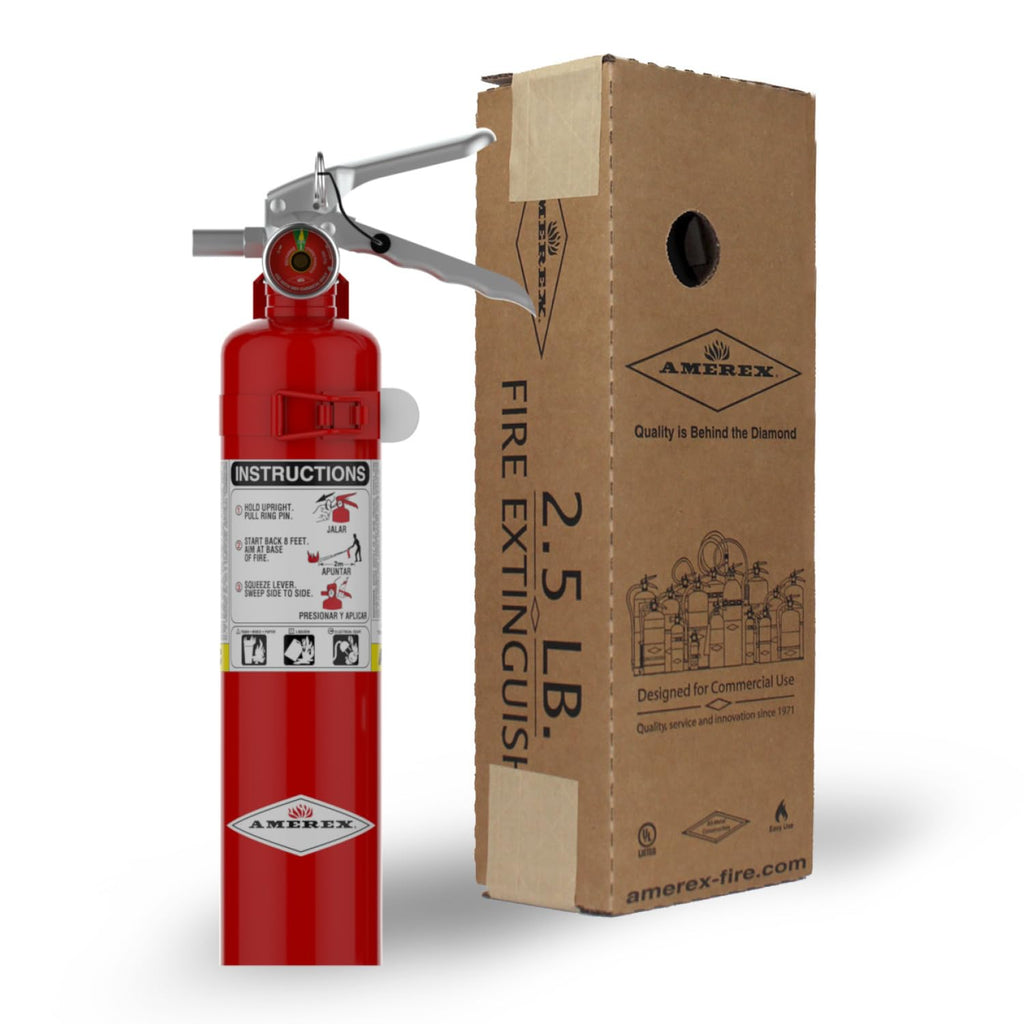 2.5 lb. ABC Dry Chemical Fire Extinguisher with Wall Bracket, 2 Pack P776