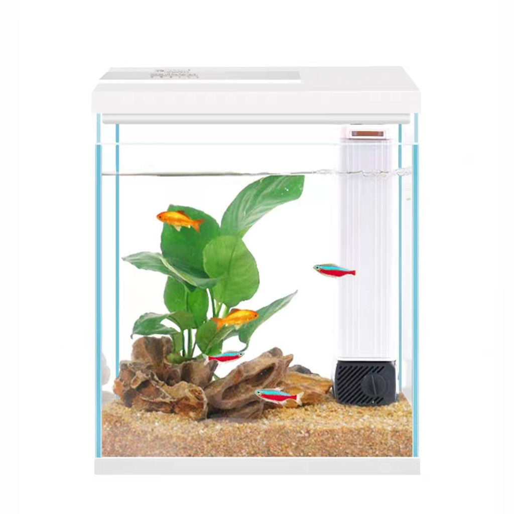 2 Gallon Glass Aquarium Starter Kit with Filter and Light O752