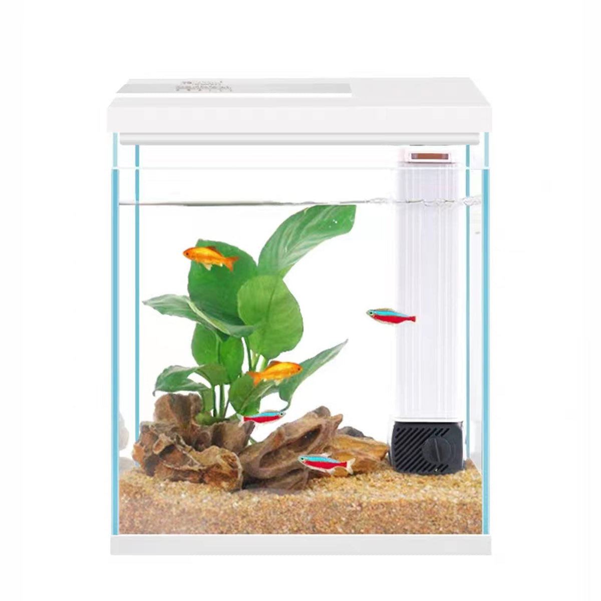 2 Gallon Glass Aquarium Starter Kit with Filter and Light O752