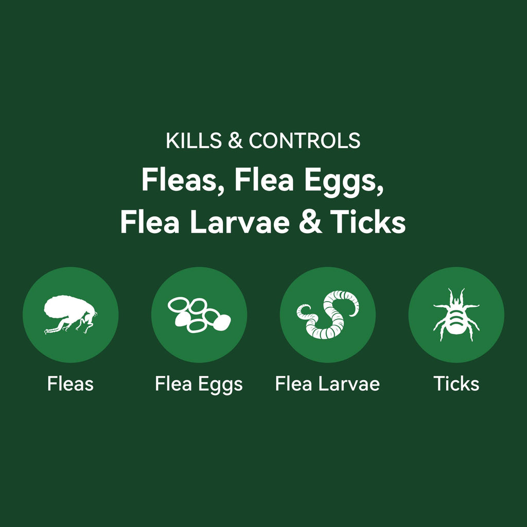 Cat Flea and Tick Treatment 6-Month Supply P36412