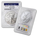 1 oz American Silver Eagle Coin MS-70 E88684