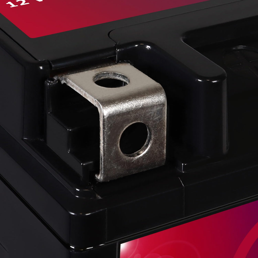 12V 11.2Ah Battery Z462