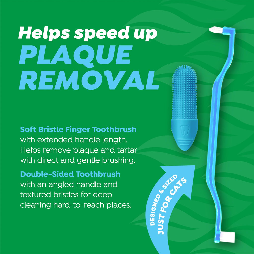 Cat Toothbrush and Toothpaste Kit F7541
