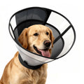 Soft Dog Cone Collar E849