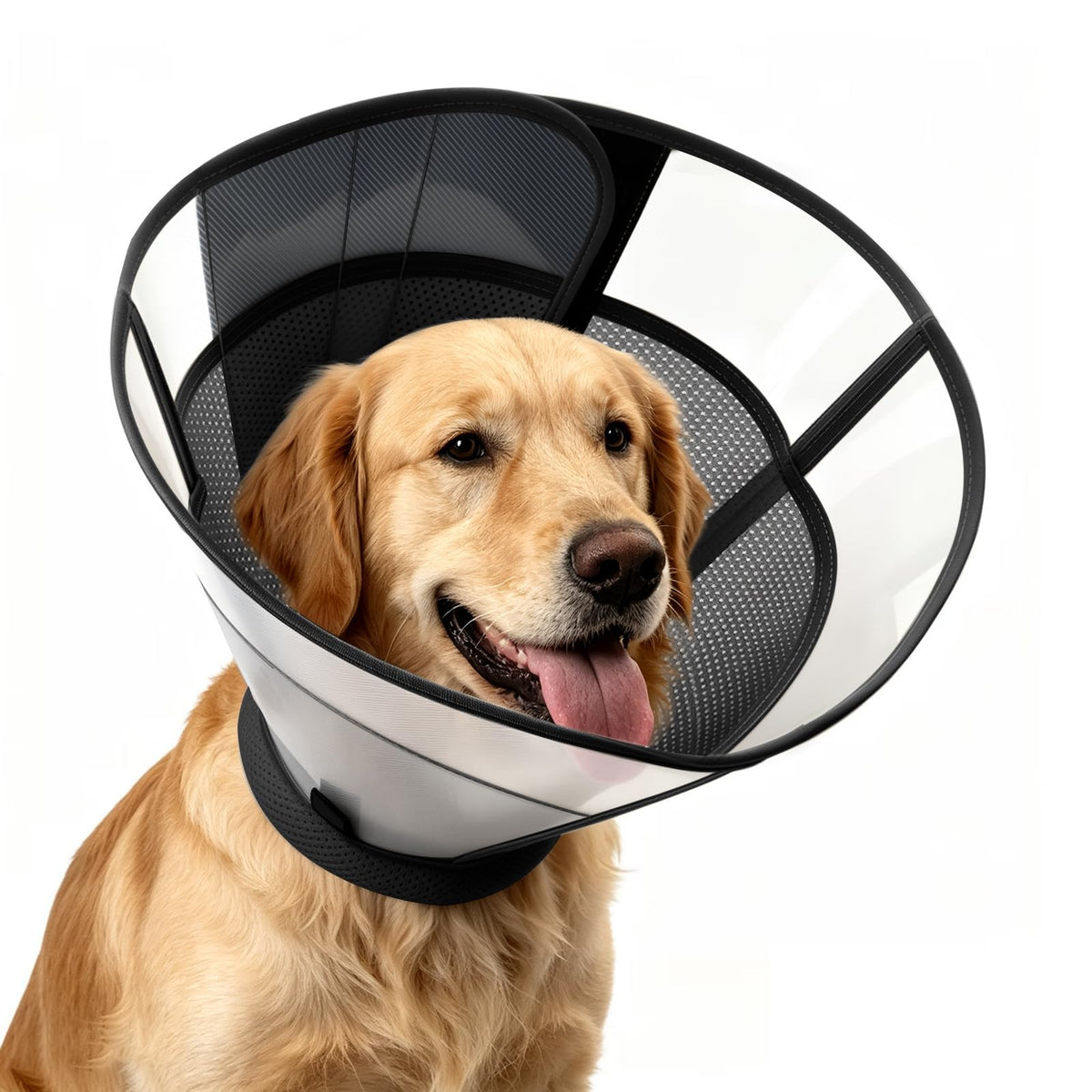 Soft Dog Cone Collar E849