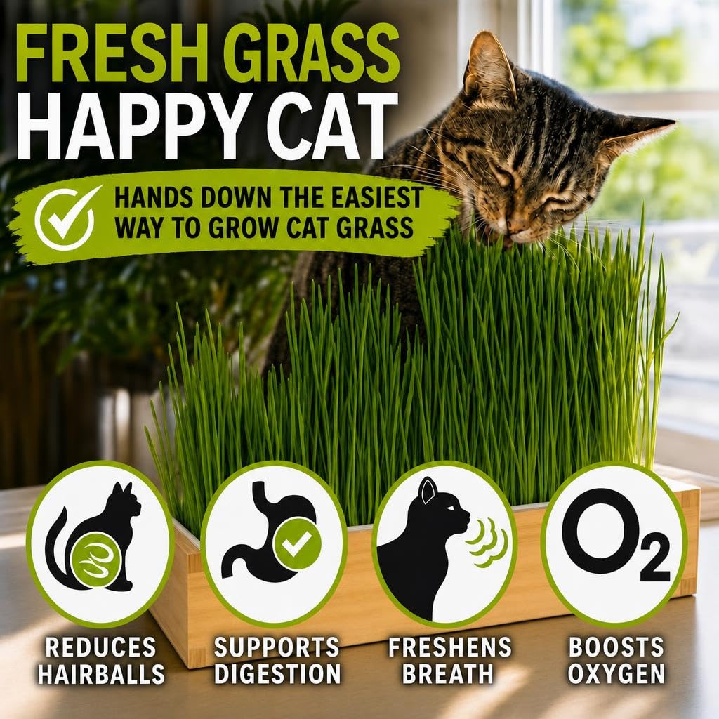 Self-Watering Cat Grass Planter Kit V4448