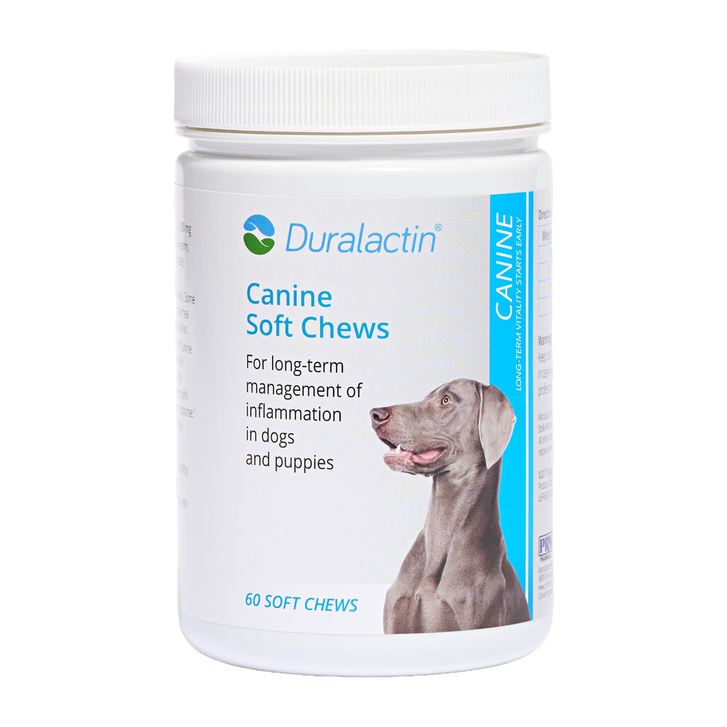 Duralactin Canine Soft Chews 60 Count C997