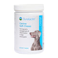 Duralactin Canine Soft Chews 60 Count C997