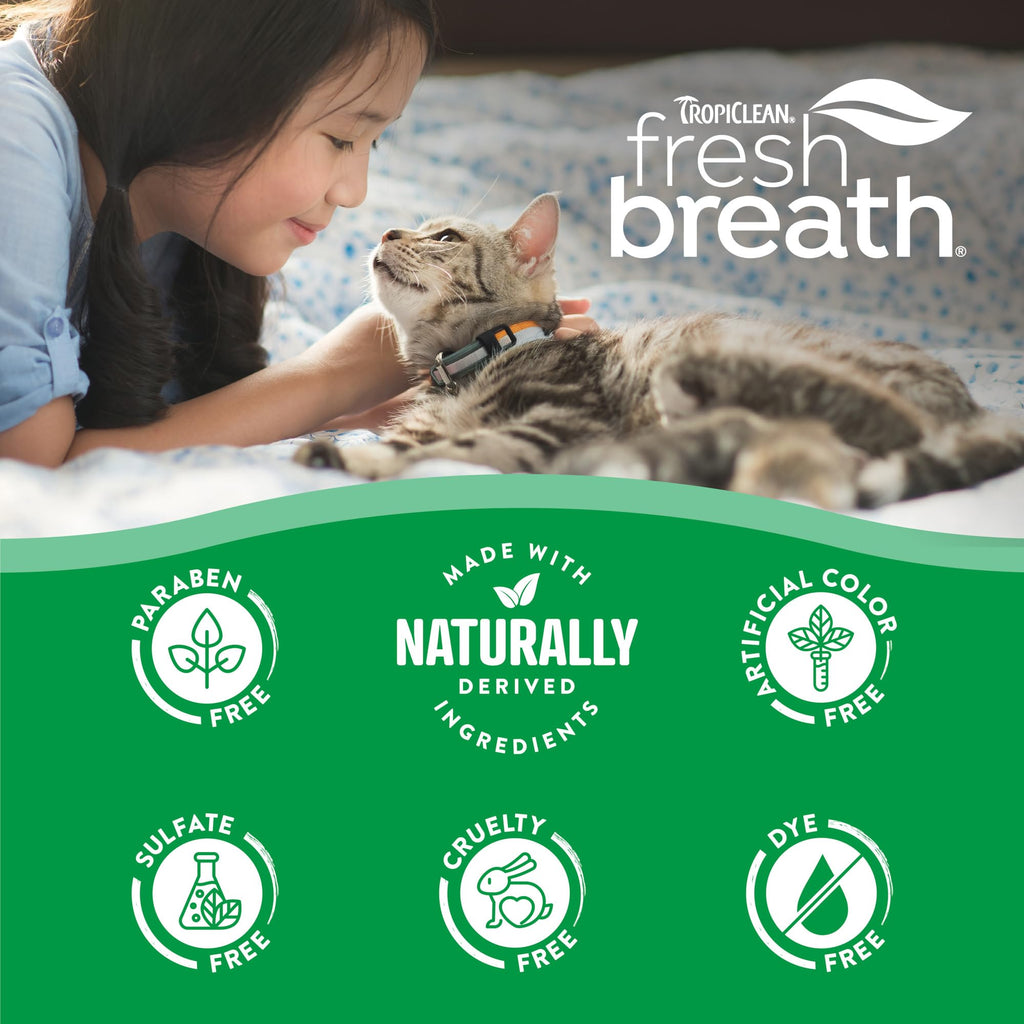 Cat Toothbrush and Toothpaste Kit F7541
