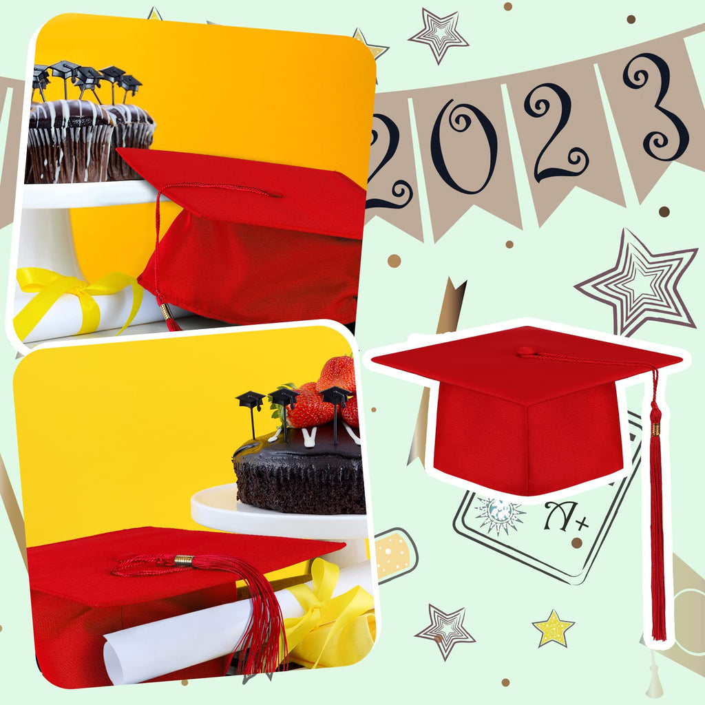 Graduation Caps X40013