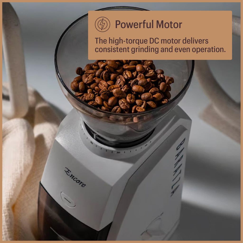 White Coffee Grinder T595