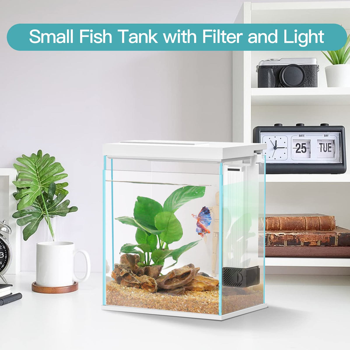 2 Gallon Glass Aquarium Starter Kit with Filter and Light O752