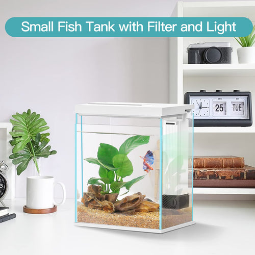 2 Gallon Glass Aquarium Starter Kit with Filter and Light O752