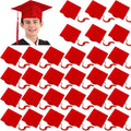 Graduation Caps X40013