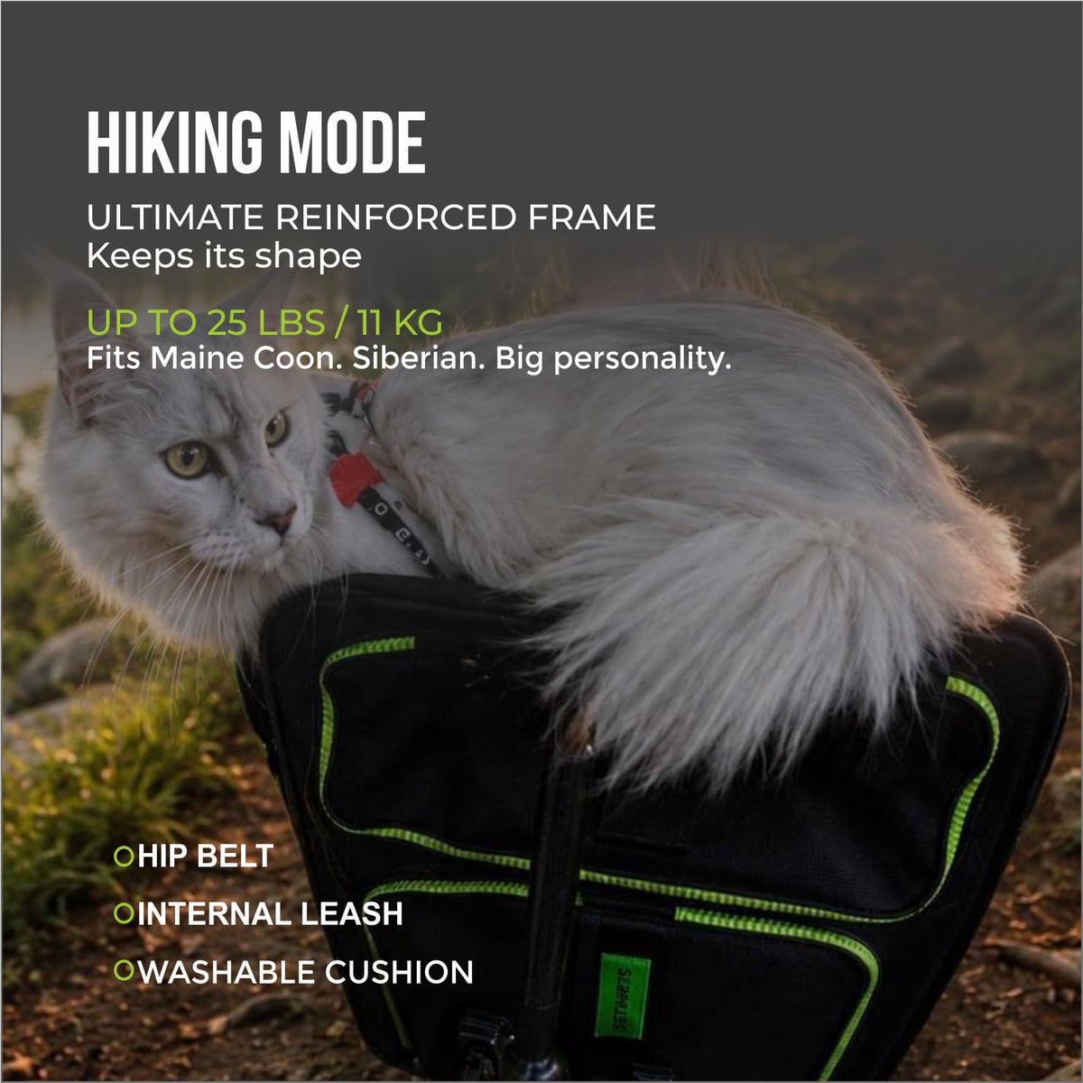 Expandable Cat Carrier Backpack Q2416
