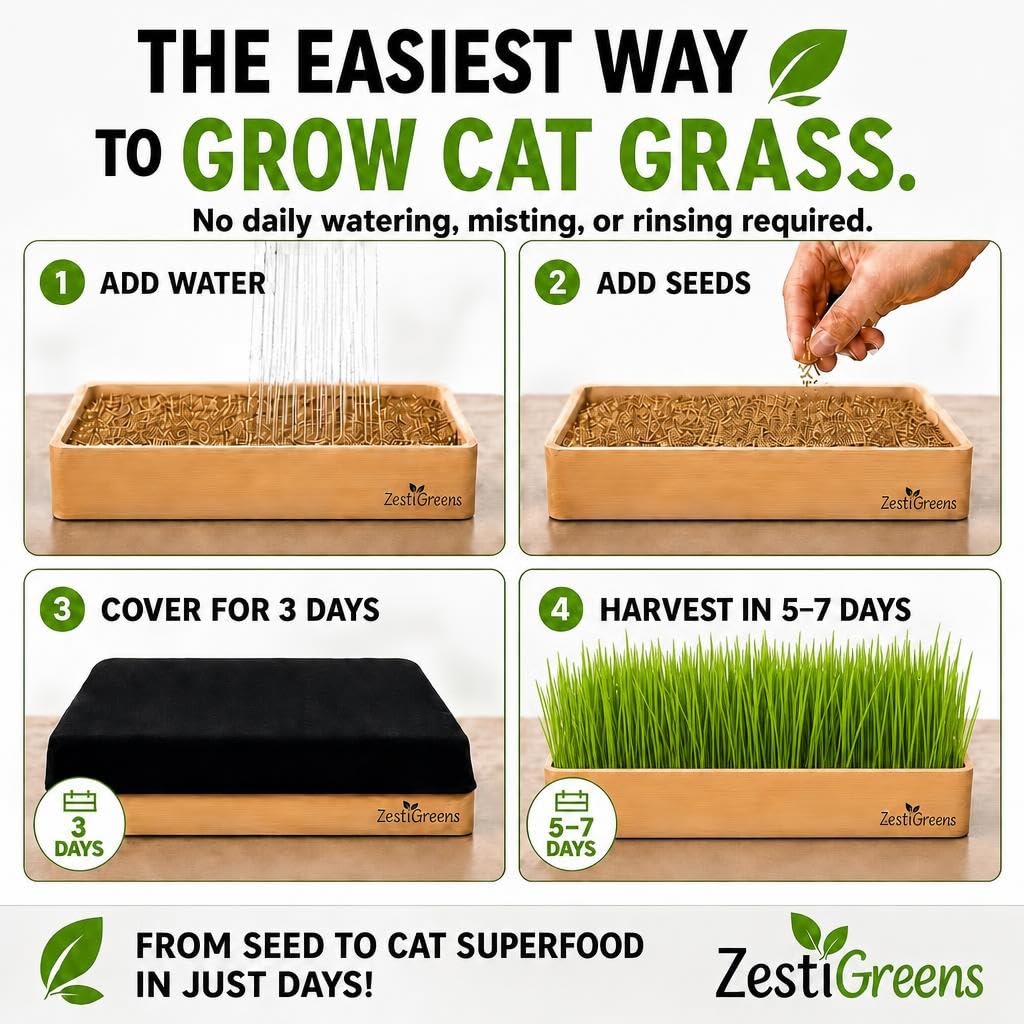 Self-Watering Cat Grass Planter Kit V4448