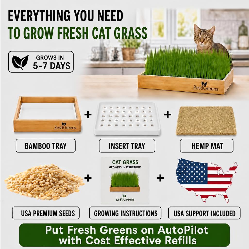 Self-Watering Cat Grass Planter Kit V4448