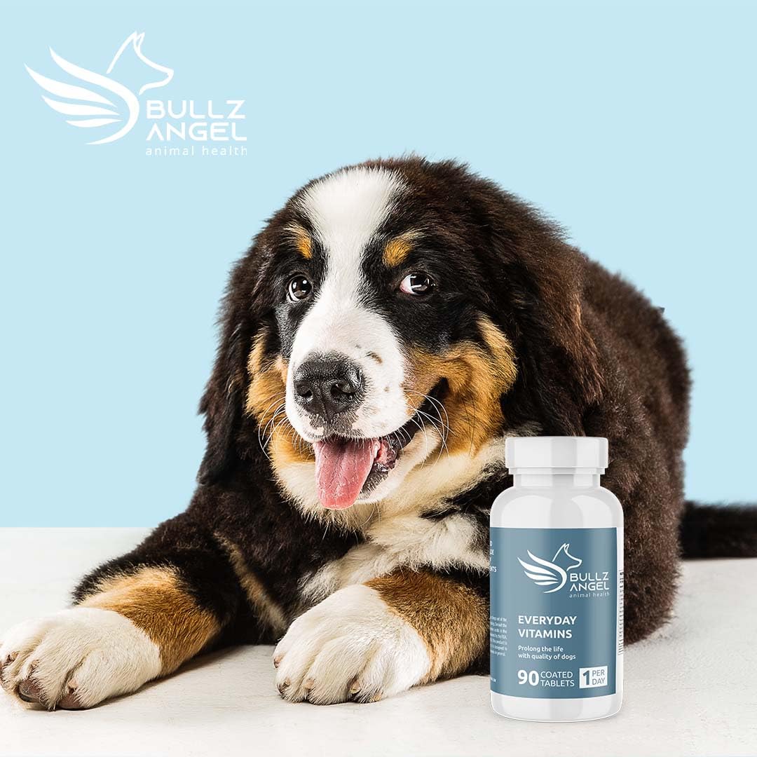 Dog Vitamins U3217