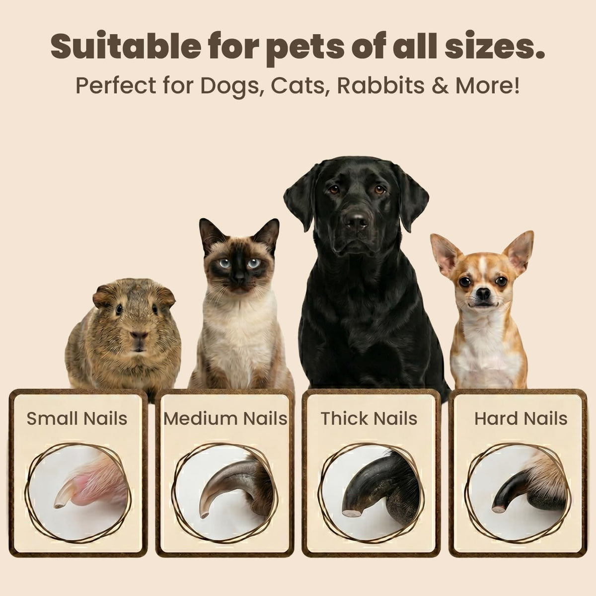 2-in-1 Dog & Cat Nail Clipper and Grinder with Light G19894