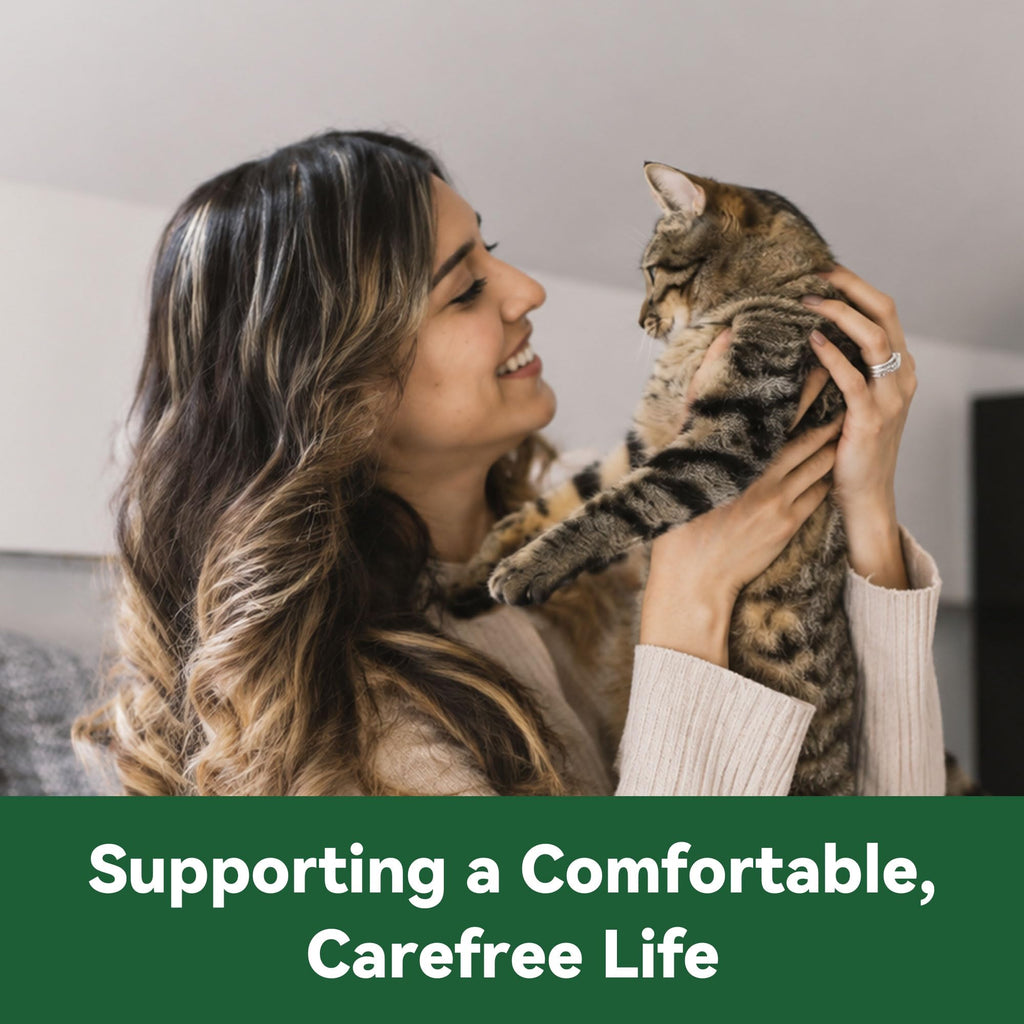 Cat Flea and Tick Treatment 6-Month Supply P36412