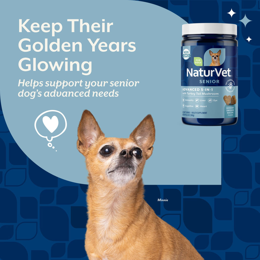 Dog Supplement 60 Ct H55363