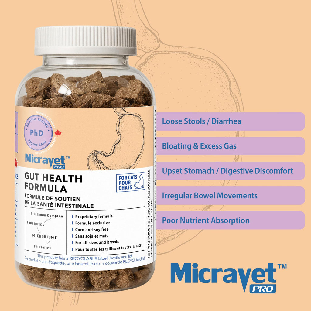 Probiotic Soft Chews for Cats X65143