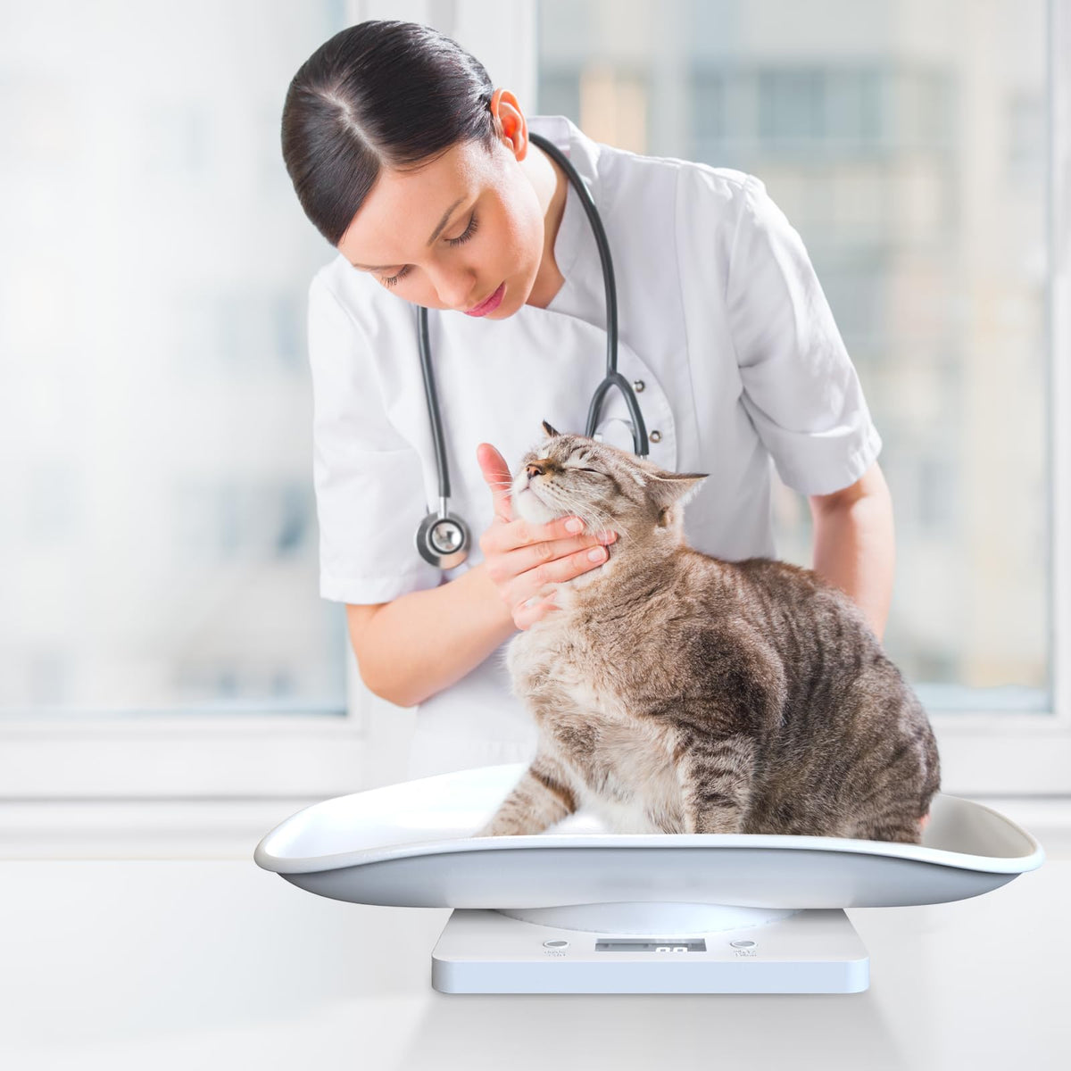 Digital Pet Scale for Small Animal, LED Display, Measures Up to 15kg, White R301