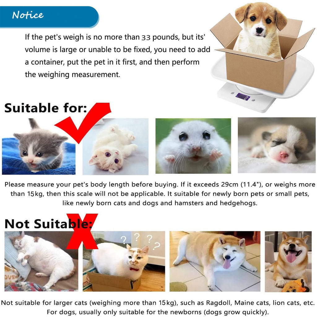 Newborn Kitten & Puppy Weight Scale White 12in x 8in G582835