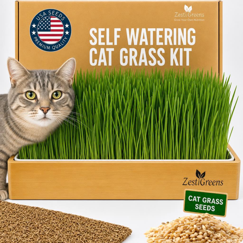 Self-Watering Cat Grass Planter Kit V4448