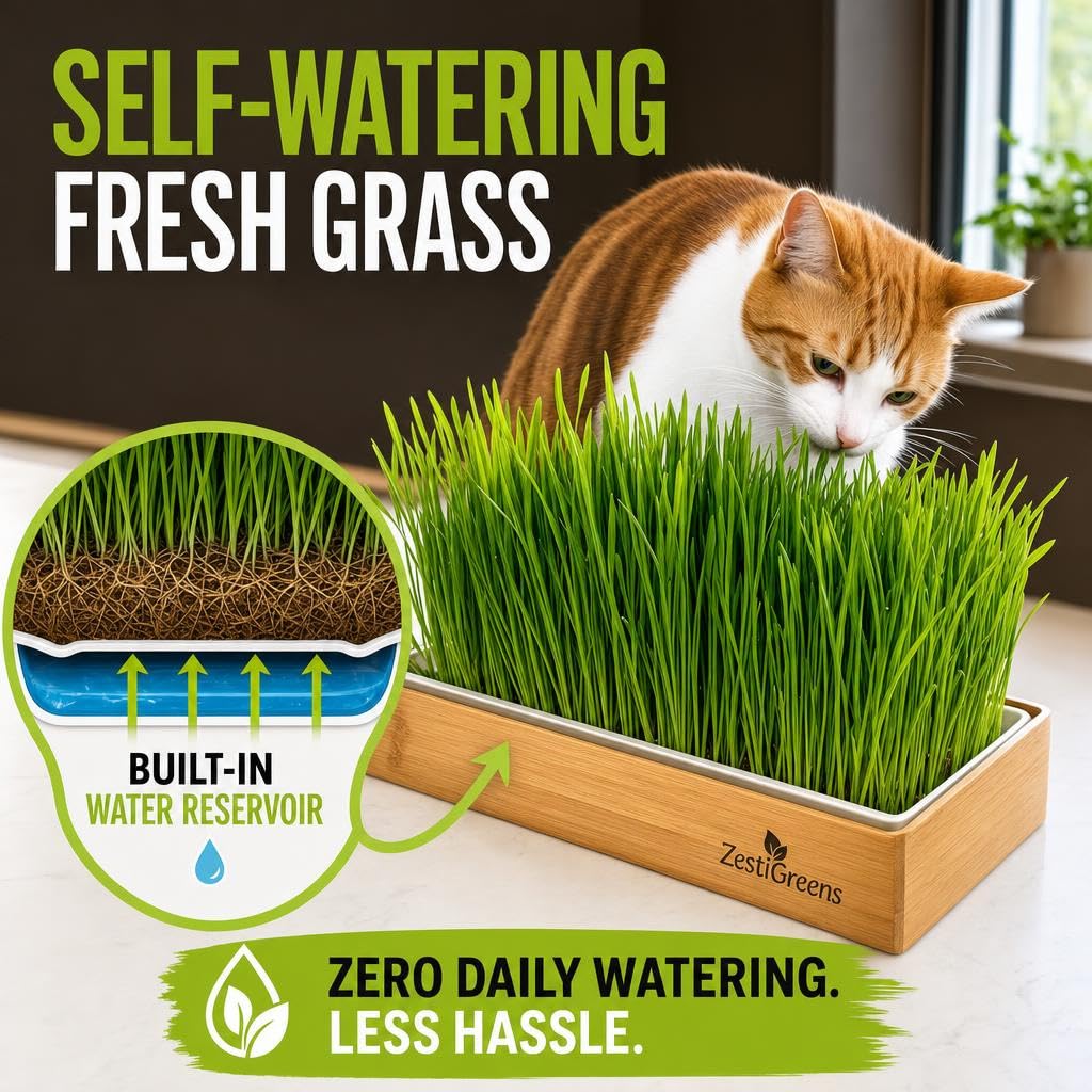 Self-Watering Cat Grass Planter Kit V4448