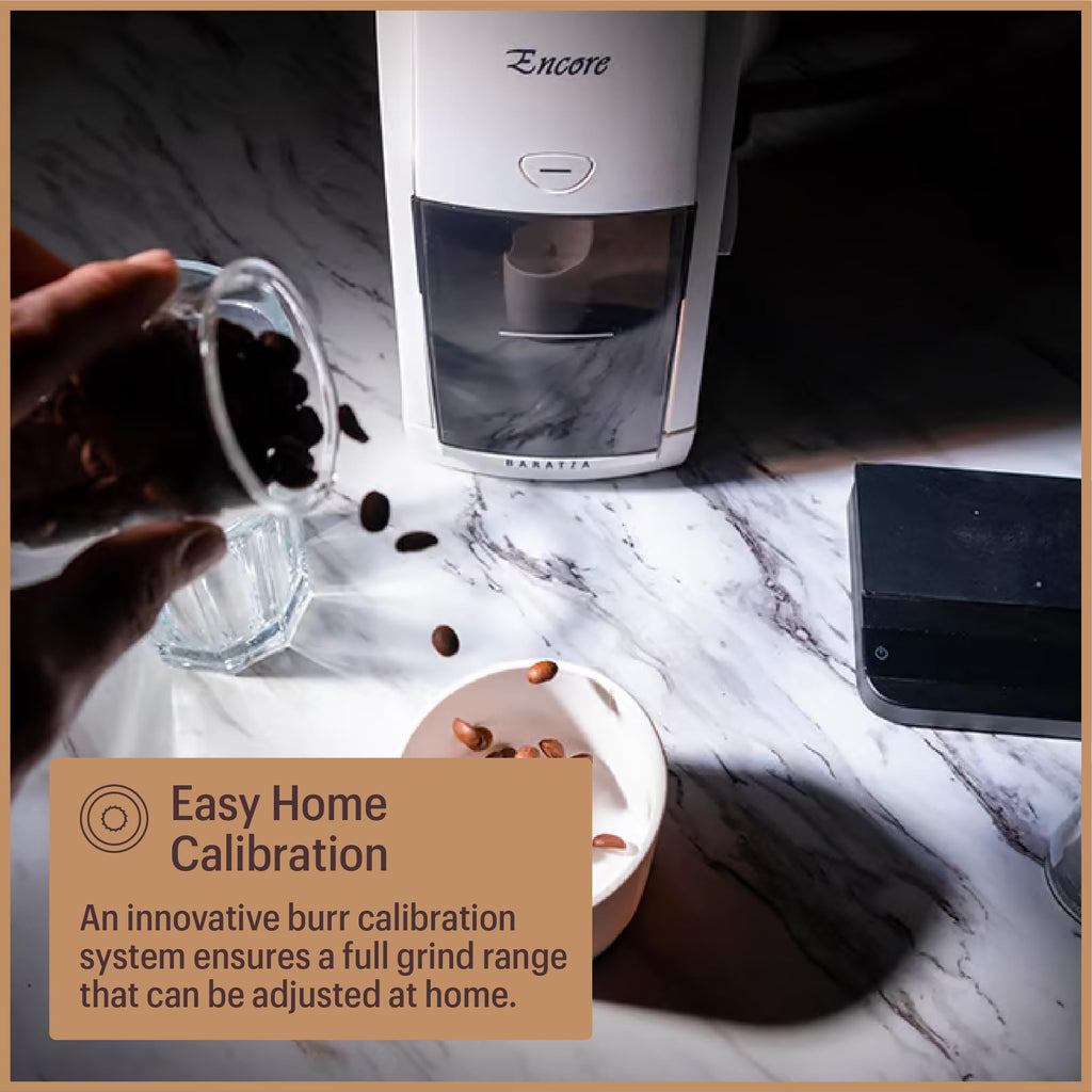 White Coffee Grinder T595