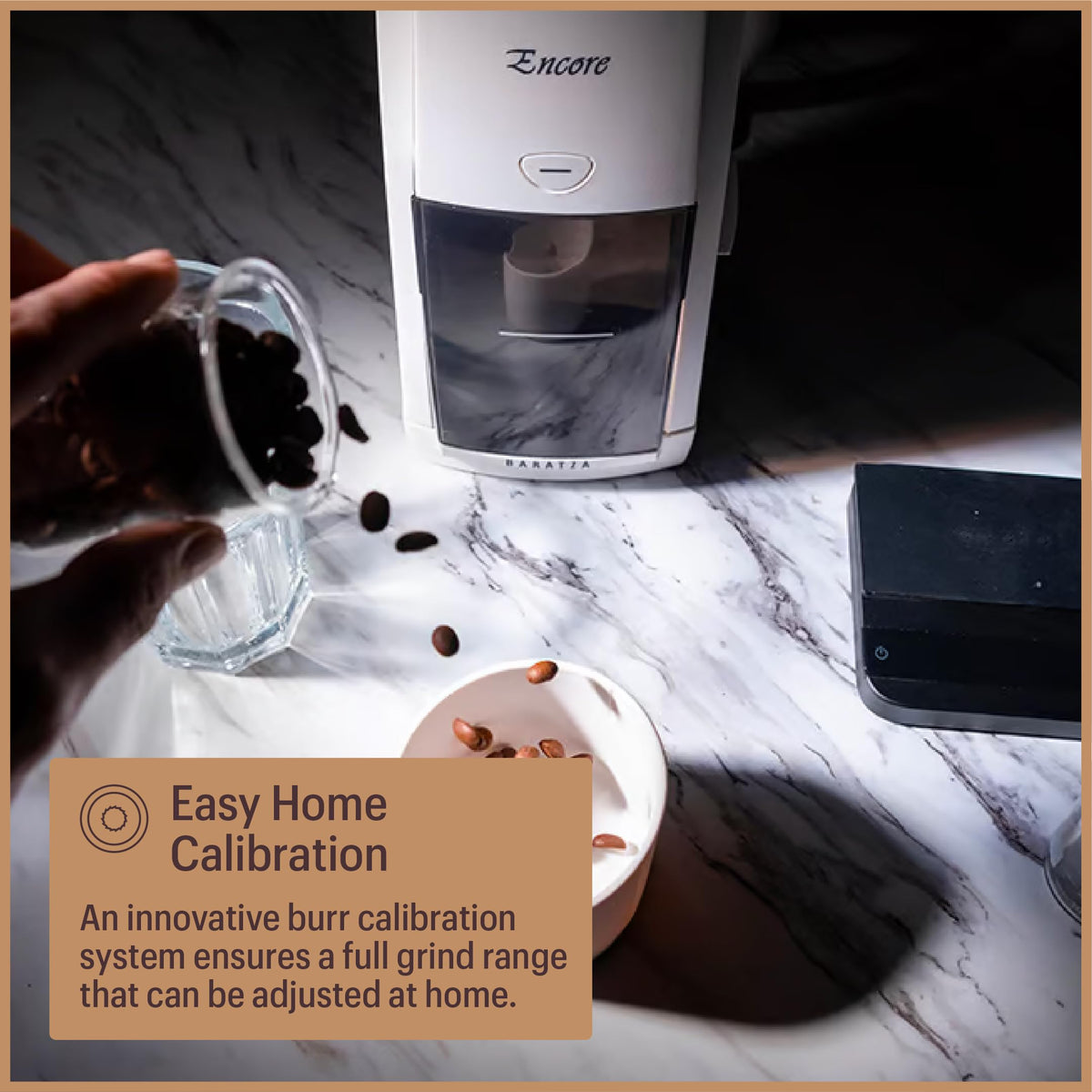 White Coffee Grinder T595