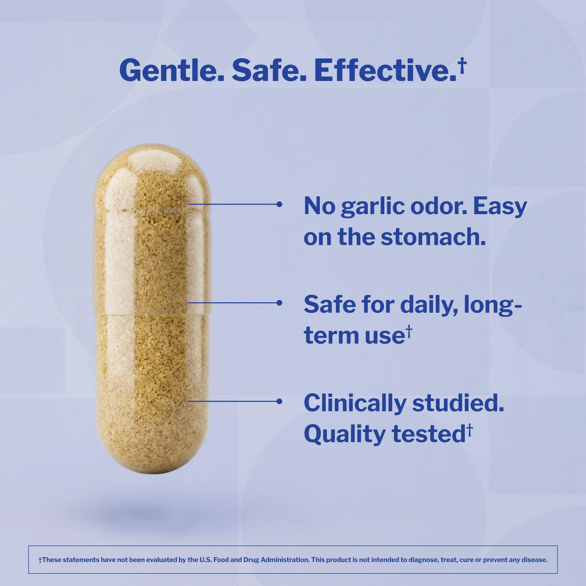 Aged Garlic Extract 300 Capsules A795