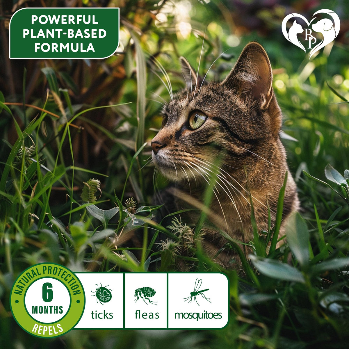 Natural Flea & Tick Collar for Cats 1 Pack M1082