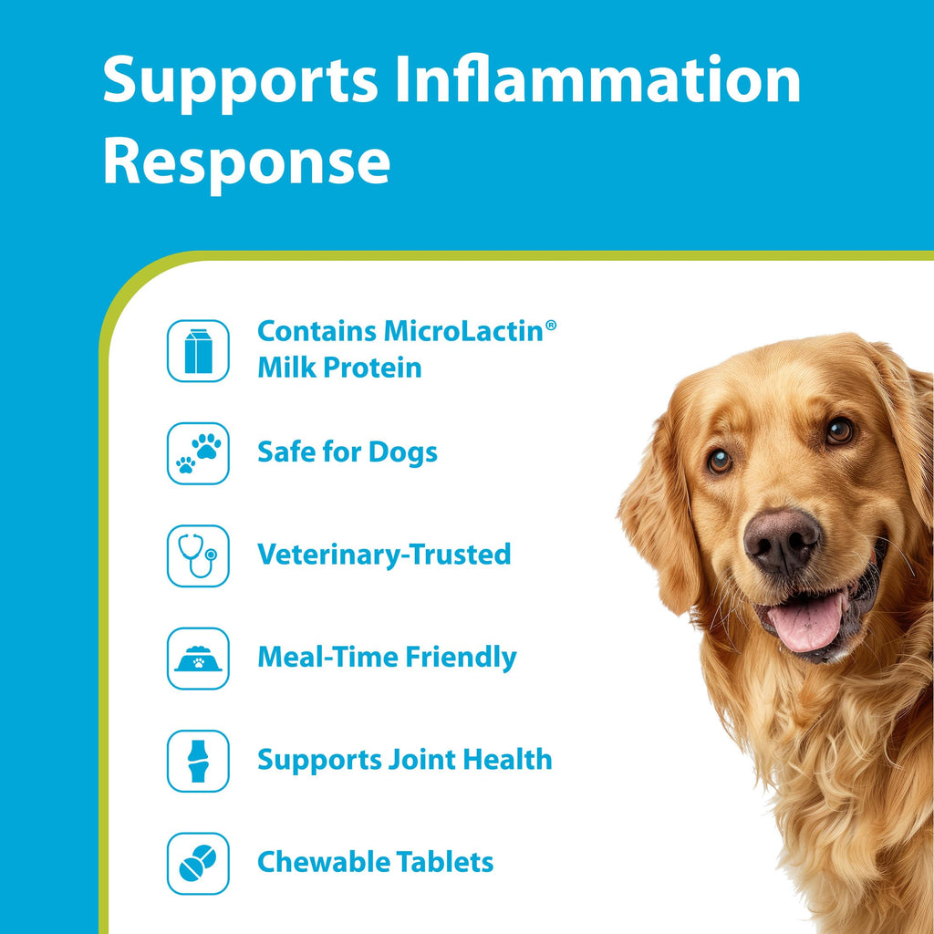 Duralactin Canine Soft Chews 60 Count C997