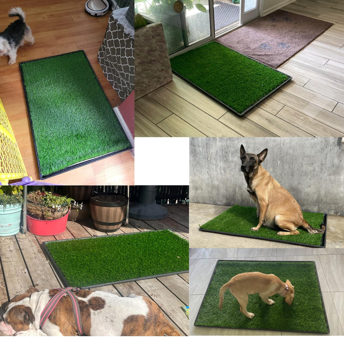 Dog Grass Pad with Tray 2-Pack 35 x 21.7 in P6551