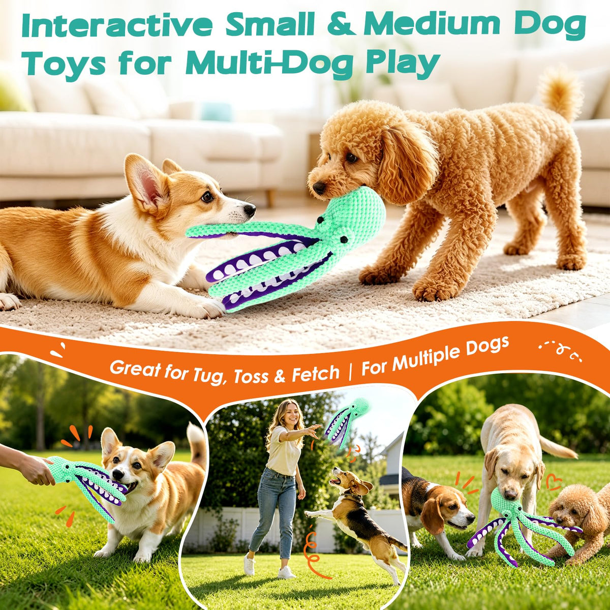 Dog Toys Q6292