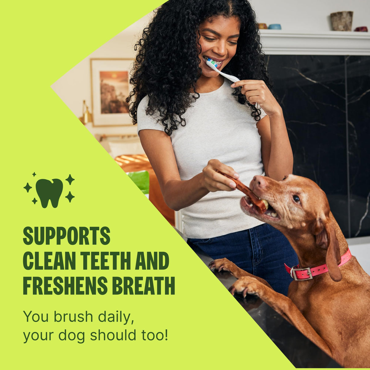 Natural Dog Dental Chews Small Size 14.81 oz 28 Count X292
