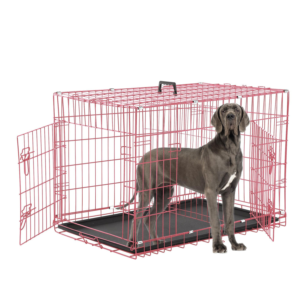 Foldable Double Door 48" Dog Crate with Leak-Proof Tray Y3062