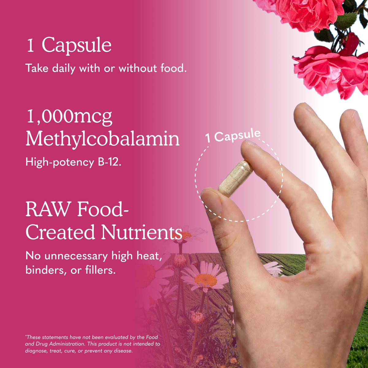 Vegan B-12 Methylcobalamin 30 Capsules V460