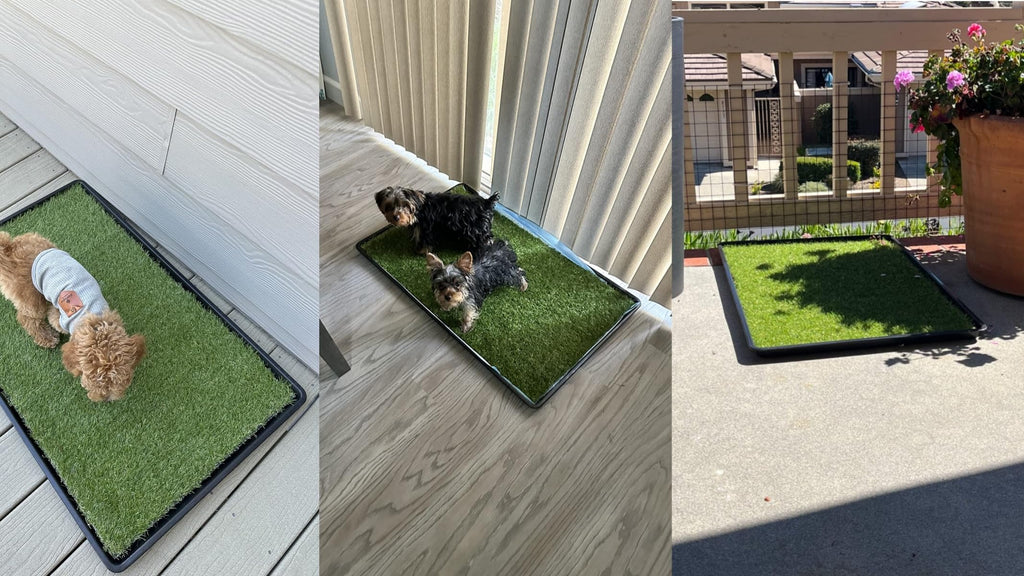 Dog Grass Pad with Tray 2-Pack 35 x 21.7 in P6551