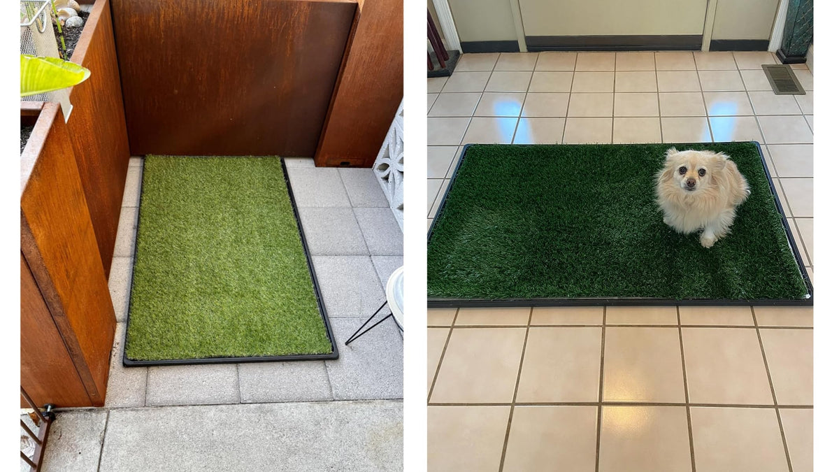 Dog Grass Pad with Tray 2-Pack 35 x 21.7 in P6551