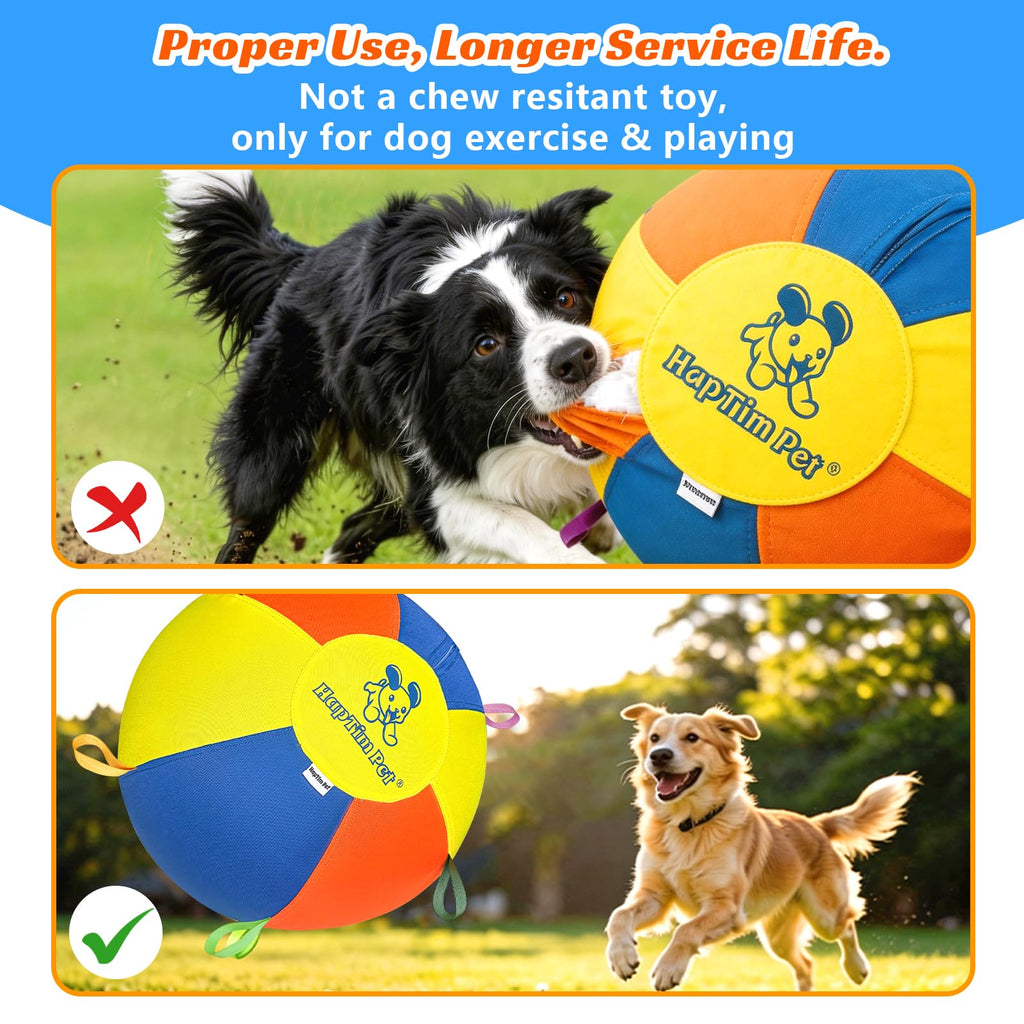 22" Heavy Duty Herding Ball for Dogs B51055