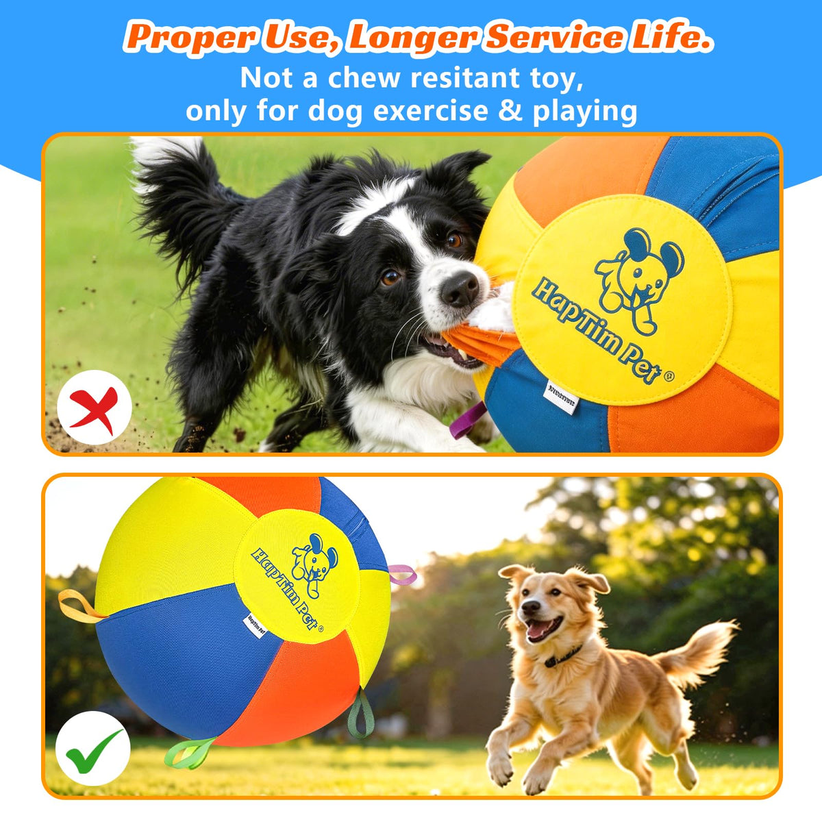 22" Heavy Duty Herding Ball for Dogs B51055