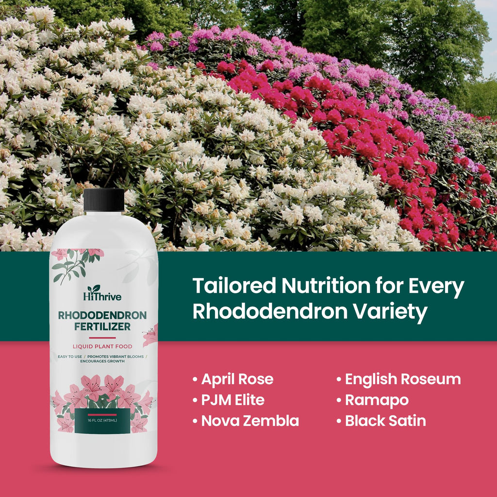 16oz Rhododendron Plant Food U5466
