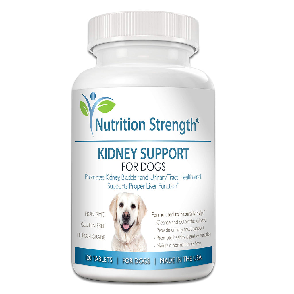 Kidney Support for Dogs Chewable Tablets X978