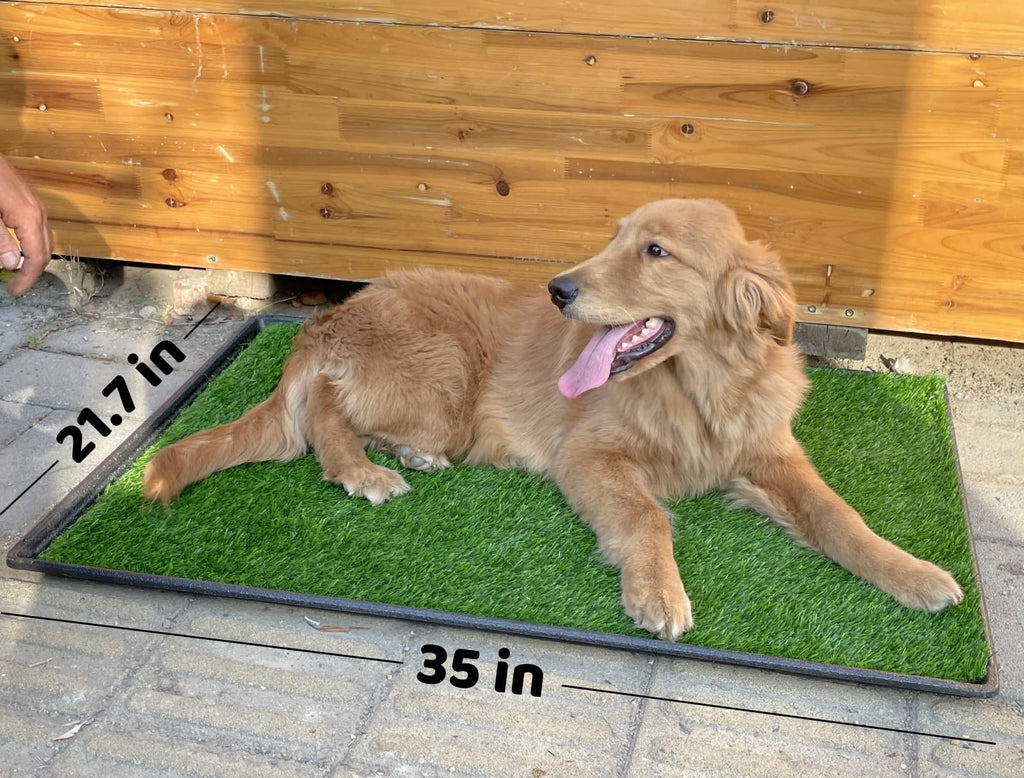 Dog Grass Pad with Tray 2-Pack 35 x 21.7 in P6551